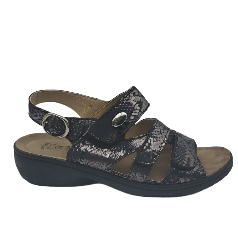 Flexus acamar black